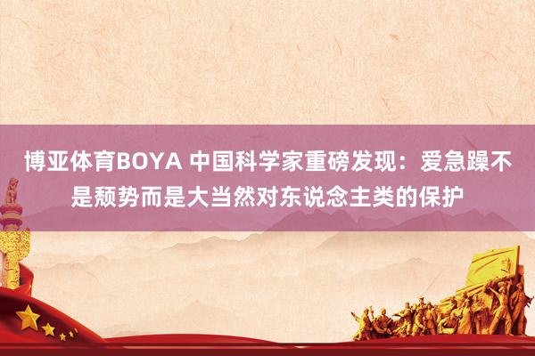 博亚体育BOYA 中国科学家重磅发现:爱急躁不是颓势而是大当然对东说念主类的保护