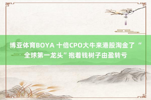 博亚体育BOYA 十倍CPO大牛来港股淘金了 “全球第一龙头”抱着钱树子由盈转亏