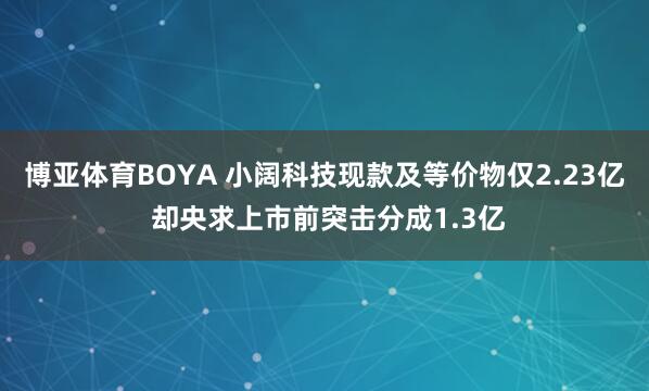 博亚体育BOYA 小阔科技现款及等价物仅2.23亿 却央求上市前突击分成1.3亿