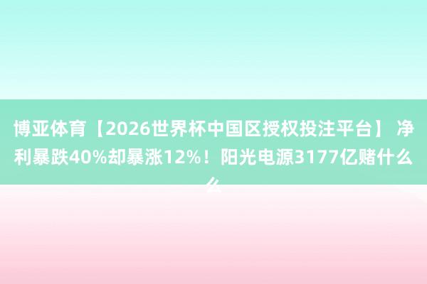 博亚体育【2026世界杯中国区授权投注平台】 净利暴跌40%却暴涨12%!阳光电源3177亿赌什么