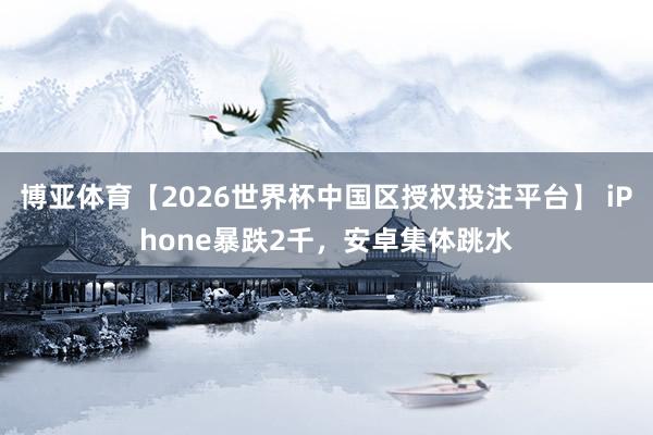 博亚体育【2026世界杯中国区授权投注平台】 iPhone暴跌2千,安卓集体跳水