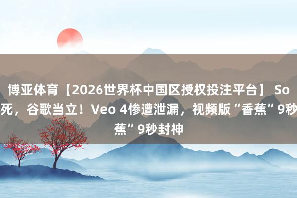 博亚体育【2026世界杯中国区授权投注平台】 Sora已死,谷歌当立!Veo 4惨遭泄漏,视频版“香蕉”9秒封神