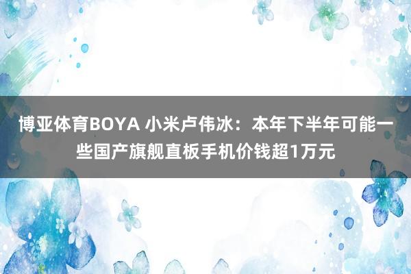 博亚体育BOYA 小米卢伟冰:本年下半年可能一些国产旗舰直板手机价钱超1万元