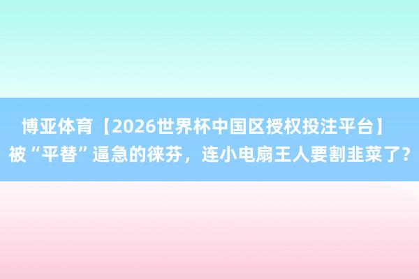 博亚体育【2026世界杯中国区授权投注平台】 被“平替”逼急的徕芬,连小电扇王人要割韭菜了?