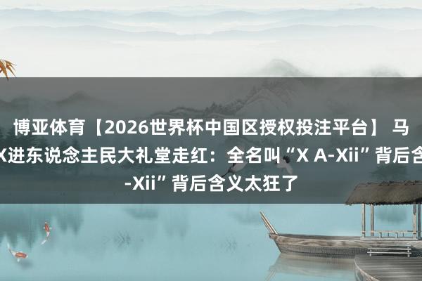 博亚体育【2026世界杯中国区授权投注平台】 马斯克女儿X进东说念主民大礼堂走红:全名叫“X A-Xii”背后含义太狂了