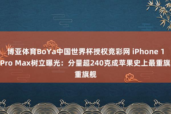 博亚体育BoYa中国世界杯授权竞彩网 iPhone 18 Pro Max树立曝光:分量超240克成苹果史上最重旗舰