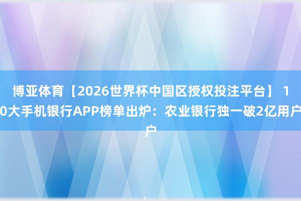 博亚体育【2026世界杯中国区授权投注平台】 10大手机银行APP榜单出炉:农业银行独一破2亿用户