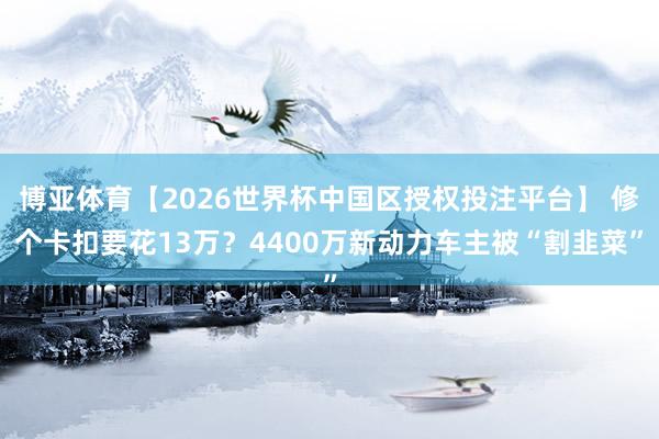 博亚体育【2026世界杯中国区授权投注平台】 修个卡扣要花13万?4400万新动力车主被“割韭菜”