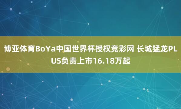 博亚体育BoYa中国世界杯授权竞彩网 长城猛龙PLUS负责上市16.18万起