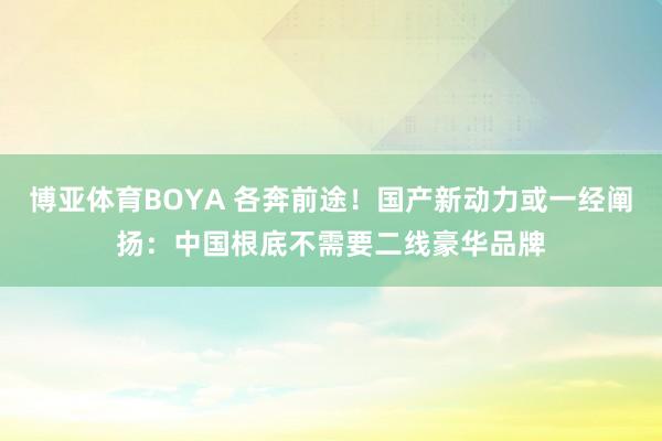 博亚体育BOYA 各奔前途!国产新动力或一经阐扬:中国根底不需要二线豪华品牌