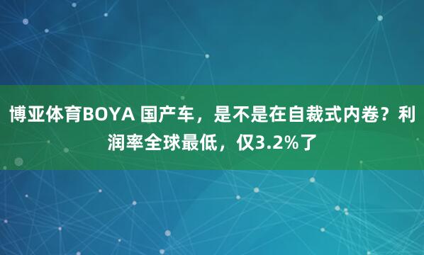 博亚体育BOYA 国产车,是不是在自裁式内卷?利润率全球最低,仅3.2%了