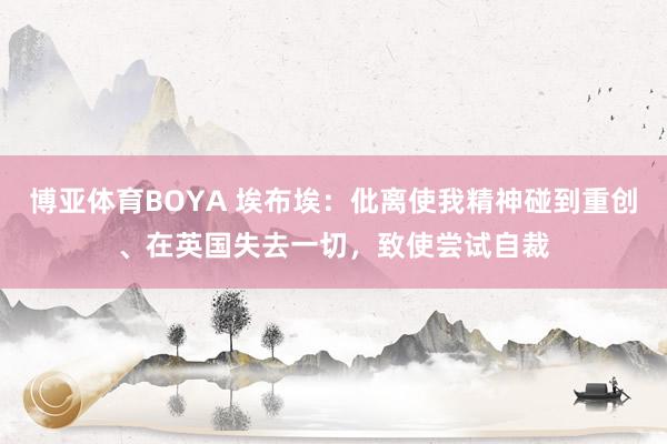 博亚体育BOYA 埃布埃：仳离使我精神碰到重创、在英国失去一切，致使尝试自裁
