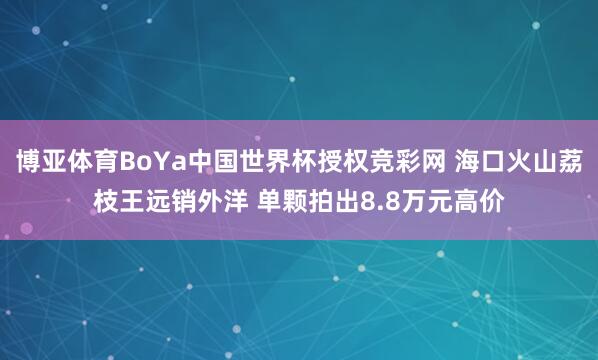 博亚体育BoYa中国世界杯授权竞彩网 海口火山荔枝王远销外洋 单颗拍出8.8万元高价