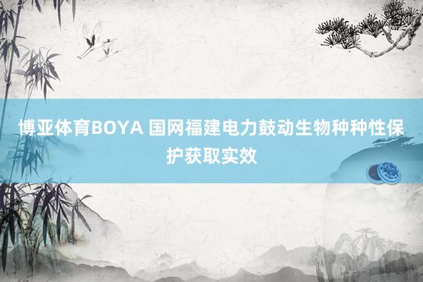 博亚体育BOYA 国网福建电力鼓动生物种种性保护获取实效