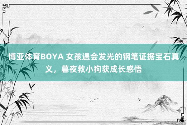 博亚体育BOYA 女孩遇会发光的钢笔证据宝石真义，暮夜救小狗获成长感悟