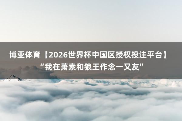 博亚体育【2026世界杯中国区授权投注平台】 “我在萧索和狼王作念一又友”
