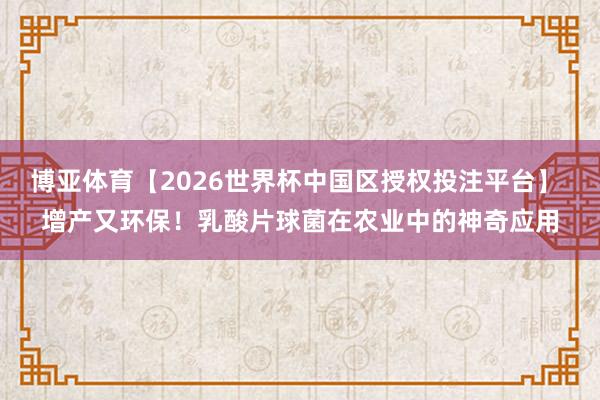 博亚体育【2026世界杯中国区授权投注平台】 增产又环保！乳酸片球菌在农业中的神奇应用