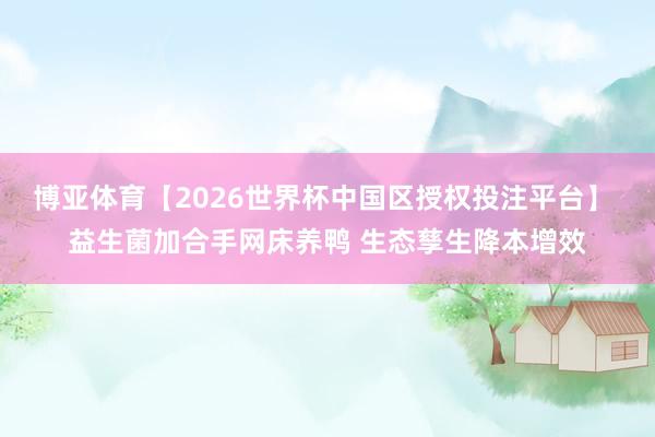 博亚体育【2026世界杯中国区授权投注平台】 益生菌加合手网床养鸭 生态孳生降本增效