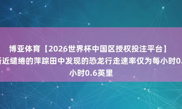 博亚体育【2026世界杯中国区授权投注平台】 中国新近缱绻的萍踪田中发现的恐龙行走速率仅为每小时0.6英里