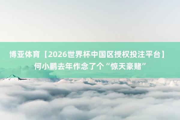 博亚体育【2026世界杯中国区授权投注平台】 何小鹏去年作念了个“惊天豪赌”