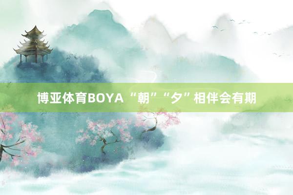 博亚体育BOYA “朝”“夕”相伴会有期