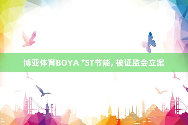博亚体育BOYA *ST节能, 被证监会立案