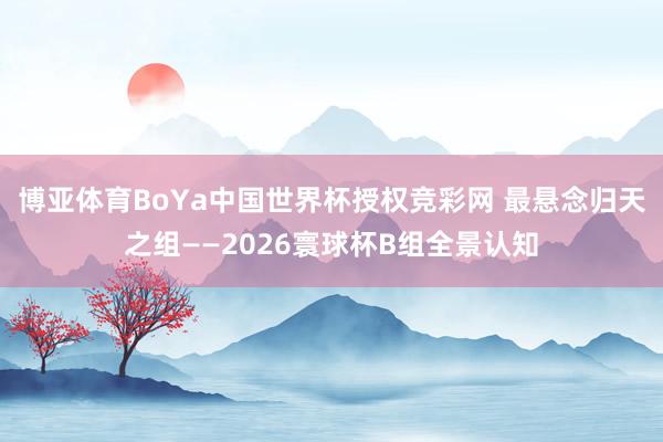 博亚体育BoYa中国世界杯授权竞彩网 最悬念归天之组——2026寰球杯B组全景认知