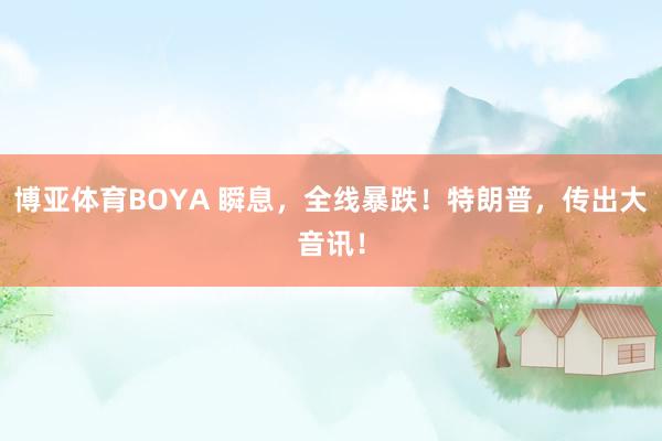 博亚体育BOYA 瞬息,全线暴跌!特朗普,传出大音讯!