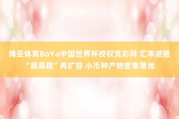 博亚体育BoYa中国世界杯授权竞彩网 汇率避险“器具箱”再扩容 小币种产物密集落地