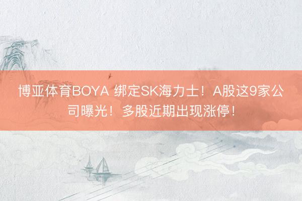 博亚体育BOYA 绑定SK海力士！A股这9家公司曝光！多股近期出现涨停！