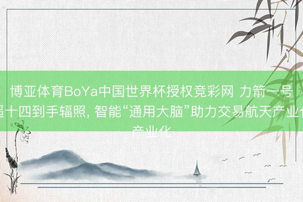 博亚体育BoYa中国世界杯授权竞彩网 力箭一号遥十四到手辐照, 智能“通用大脑”助力交易航天产业化