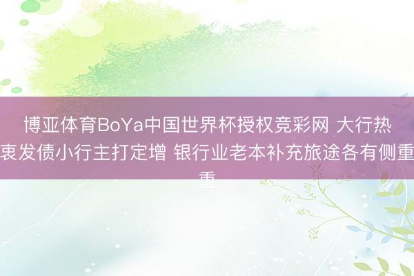 博亚体育BoYa中国世界杯授权竞彩网 大行热衷发债小行主打定增 银行业老本补充旅途各有侧重