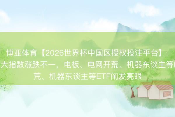 博亚体育【2026世界杯中国区授权投注平台】 ETF甄选 | 三大指数涨跌不一,电板、电网开荒、机器东谈主等ETF阐发亮眼