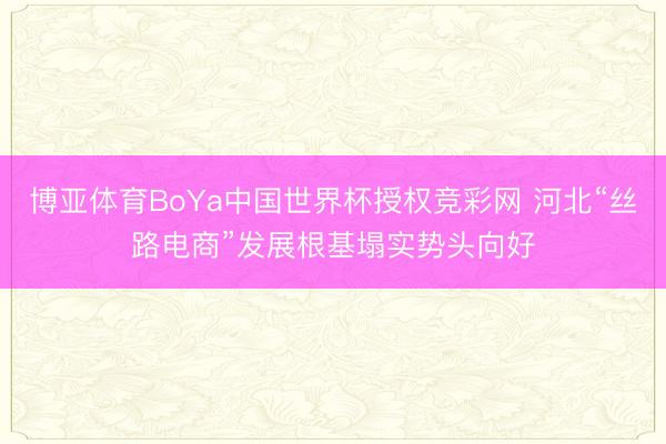 博亚体育BoYa中国世界杯授权竞彩网 河北“丝路电商”发展根基塌实势头向好