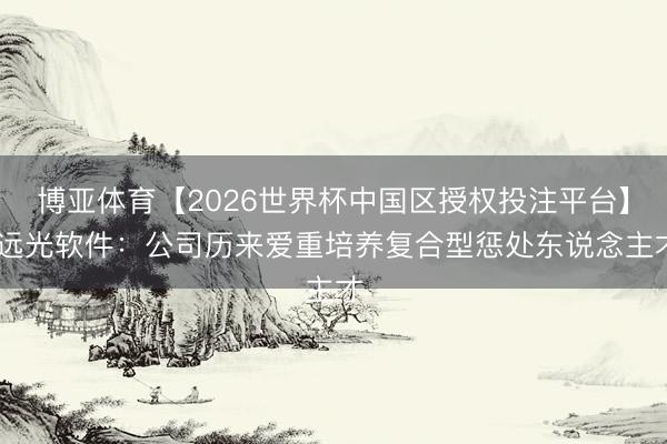 博亚体育【2026世界杯中国区授权投注平台】 远光软件:公司历来爱重培养复合型惩处东说念主才