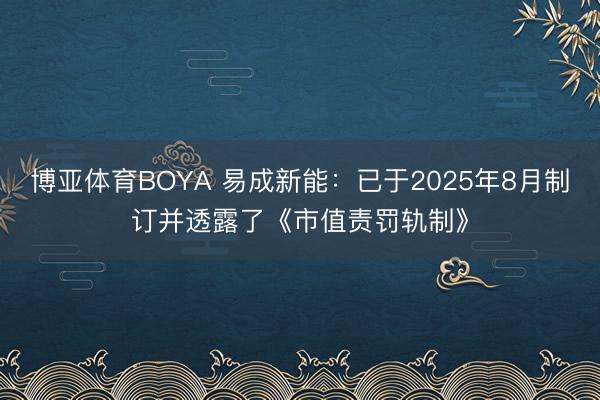 博亚体育BOYA 易成新能:已于2025年8月制订并透露了《市值责罚轨制》