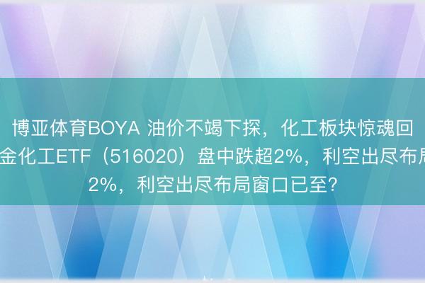 博亚体育BOYA 油价不竭下探,化工板块惊魂回调!华宝基金化工ETF(516020)盘中跌超2%,利空出尽布局窗口已至?
