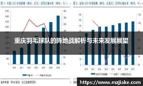 重庆羽毛球队的阵地战解析与未来发展展望