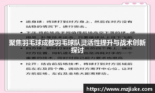 聚焦羽毛球成都羽毛球队灵活性提升与战术创新探讨